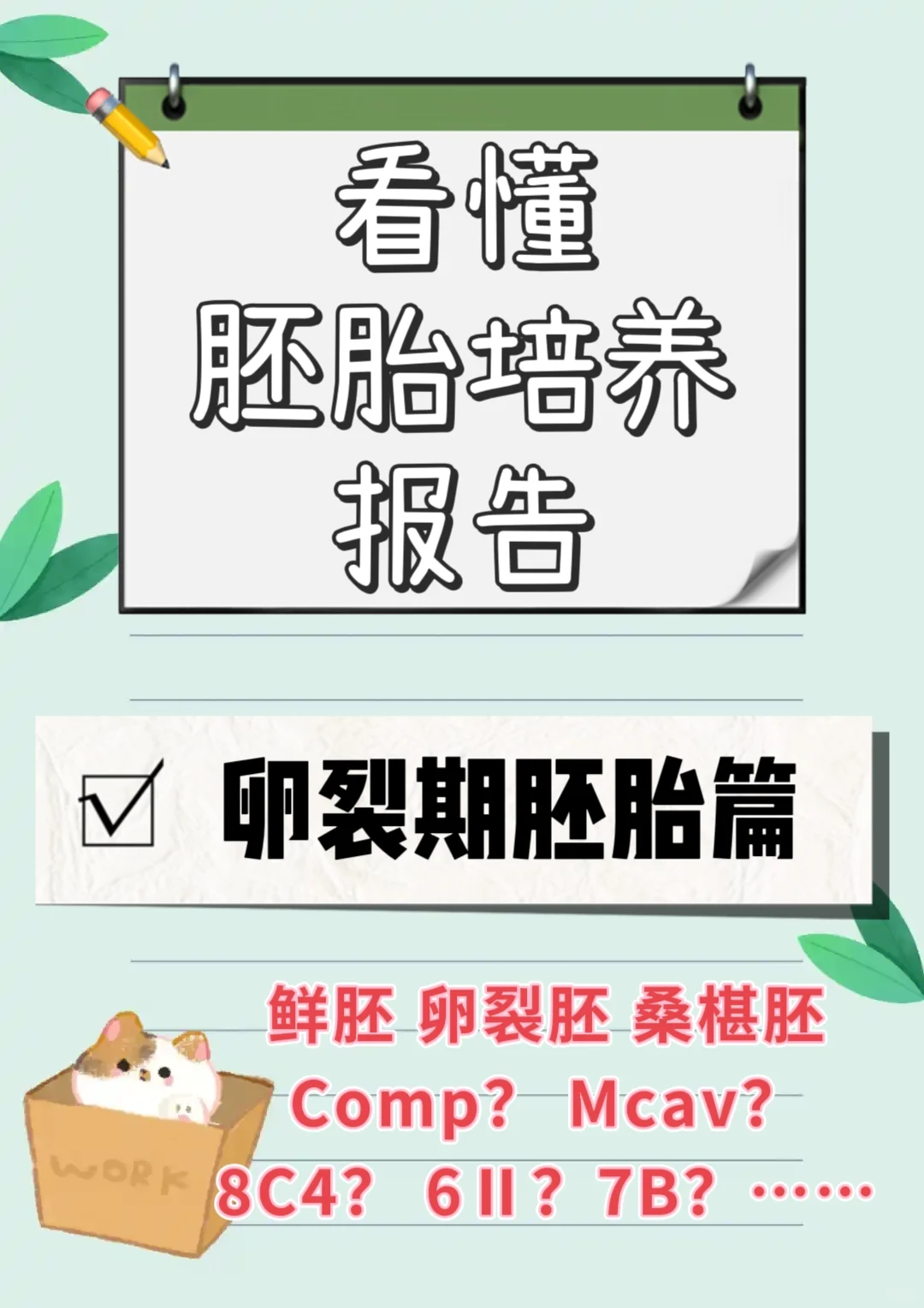看懂胚胎培养报告之卵裂期胚胎篇,供卵试管代孕私立医院,代孕哪个正规